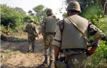 Un communiqué du MDN l’a annoncé/ Un terroriste abattu à Médéa par un détachement de l’ANP