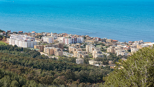 Alger : L’un des poumons de la capitale nettoyé par des volontaires