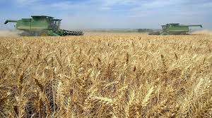 Commerce et agriculture : Vers des solutions communes