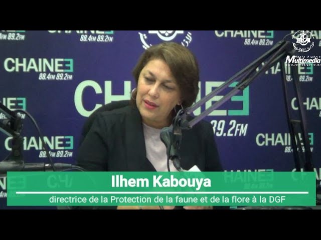 Ilham Kabouya sur les ondes de la Chaine 3/   « Impliquer la société civile pour assurer la réussite du reboisement »