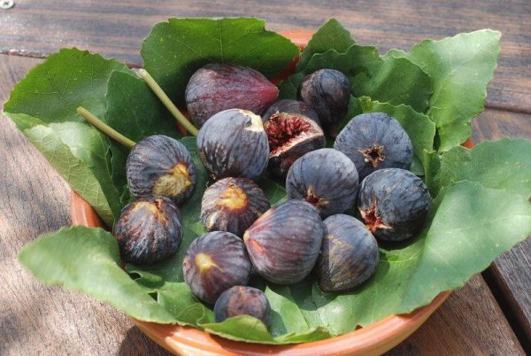 Produits du terroir/ Une excellence indiscutable