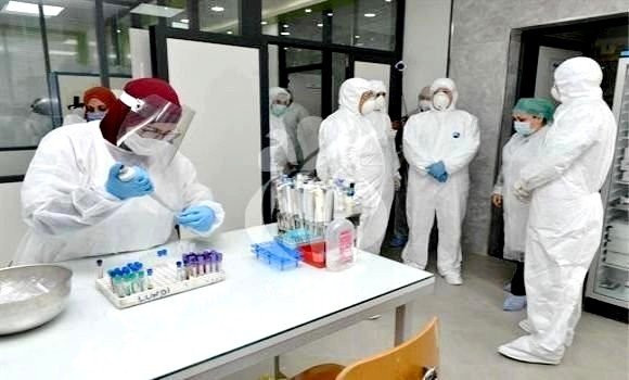 Coronavirus/ 29 nouveaux cas et aucun décès ces dernières 24h en Algérie