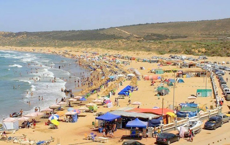 Environnement/ La nécessité de domestiquer les plantes sauvages mise en exergue