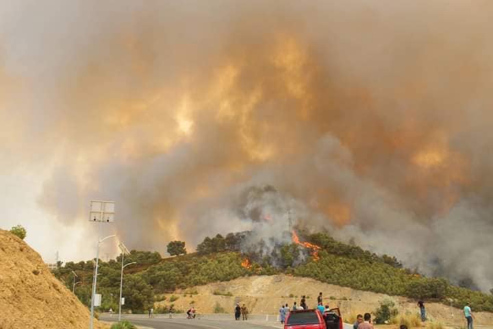 Henni, hier à Guelma / Indemnisation des agriculteurs touchés par les incendies dès réception des rapports des comités de wilayas