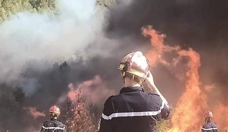 Pour avoir mis le feu dans une des forêts de la wilaya / Un individu placé sous mandat de dépôt à Jijel