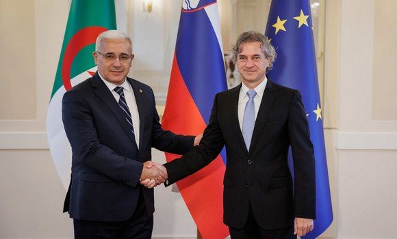 Algérie-Slovénie / Boughali reçu par le Premier ministre slovène
