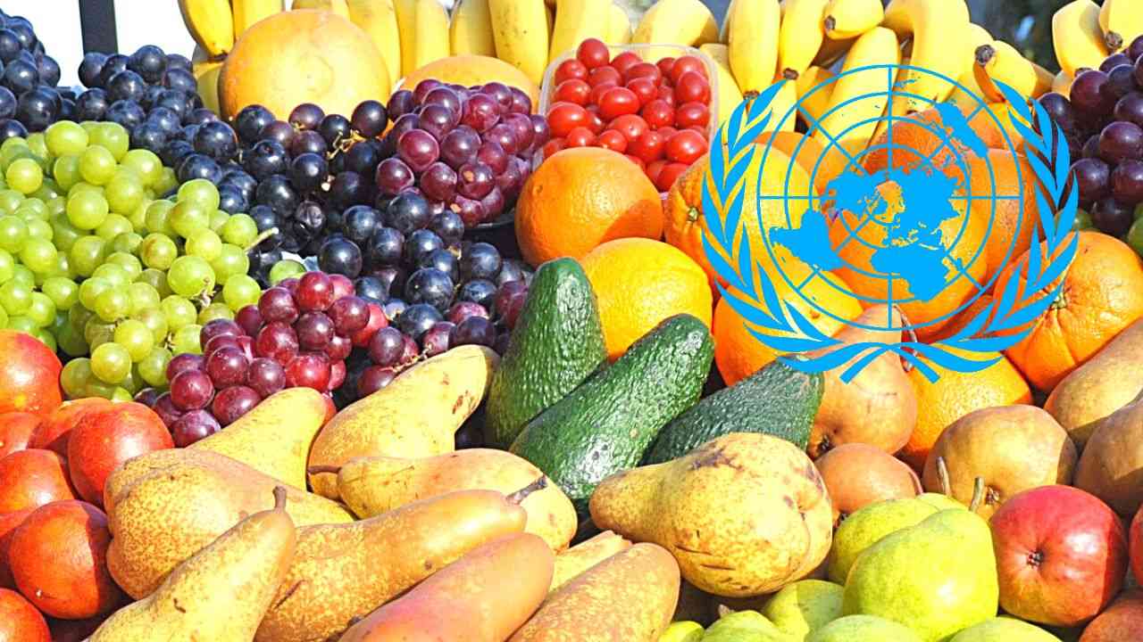 La représentante de la FAO à Alger / L’Algérie s’est érigée en “modèle” en matière de consolidation de la production locale