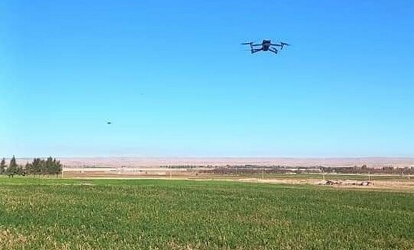 Djelfa / Recensement des superficies céréalières à l’aide de drones