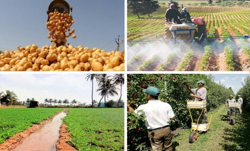 Agriculture / L’UNPA salue les décisions du Président Tebboune en matière d’appui au secteur agricole