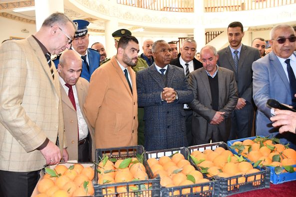 Chlef / Retour de la Fête nationale de l’orange après une absence de dix années