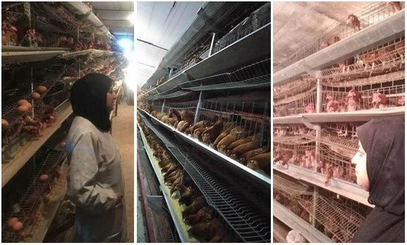 Femmes courage / Khadidja Chaâbane ,  un modèle de persévérance d’une femme entrepreneure