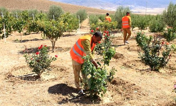 Politique  de réinsertion des détenus / Une vingtaine de secteurs y contribuent