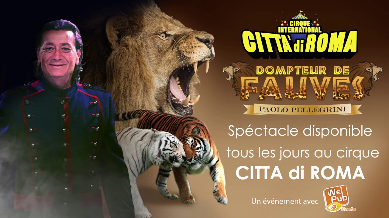 Distraction / Le cirque “Citta Di Roma” subjugue le grand public