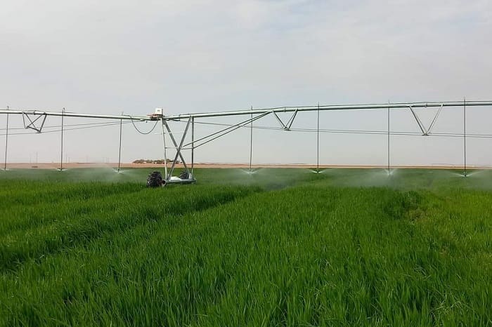 Céréales / Lancement de l’opération de contrôle du programme national d’irrigation complémentaire