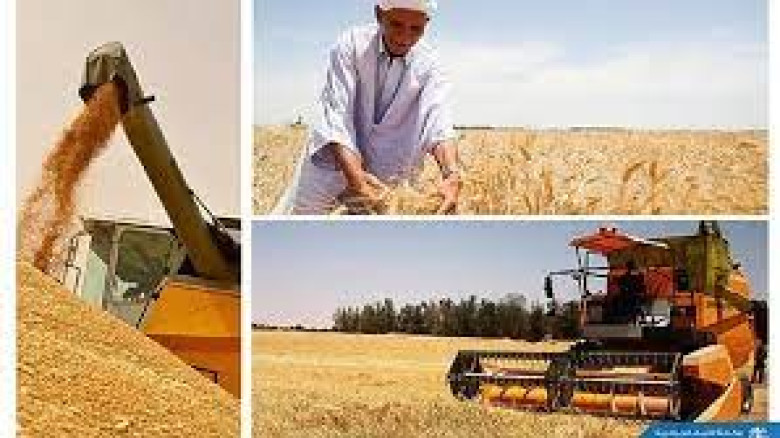 Agriculture / Régularisation de plus de 200.000 bénéficiaires de contrats de concession