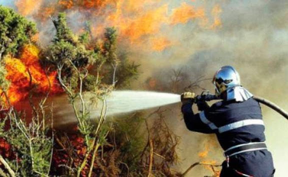 Protection civile / Une stratégie pour anticiper les feux de forêt