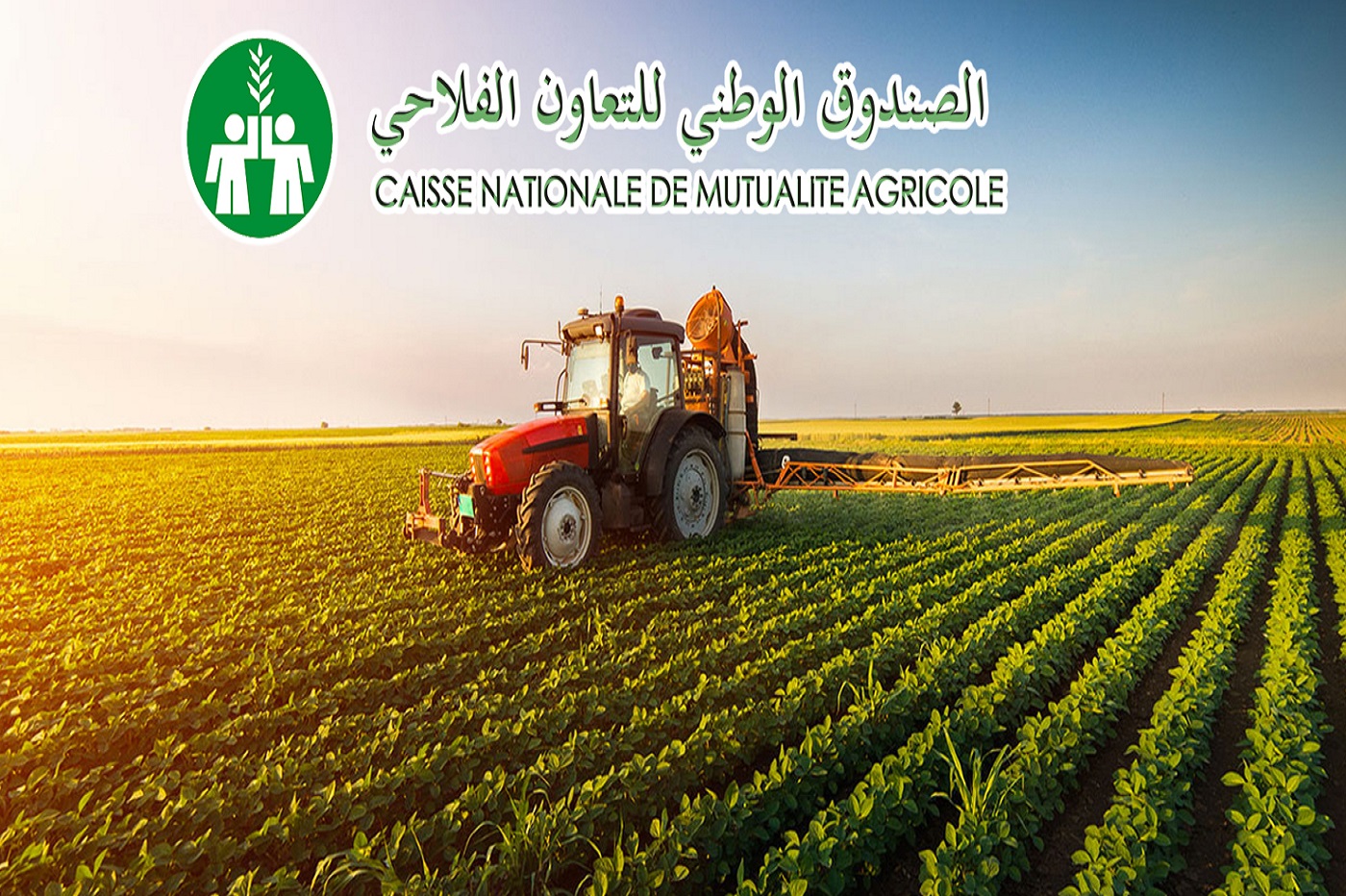 Caisse nationale de la mutualité agricole / Augmentation du capital à 10 milliards de DA