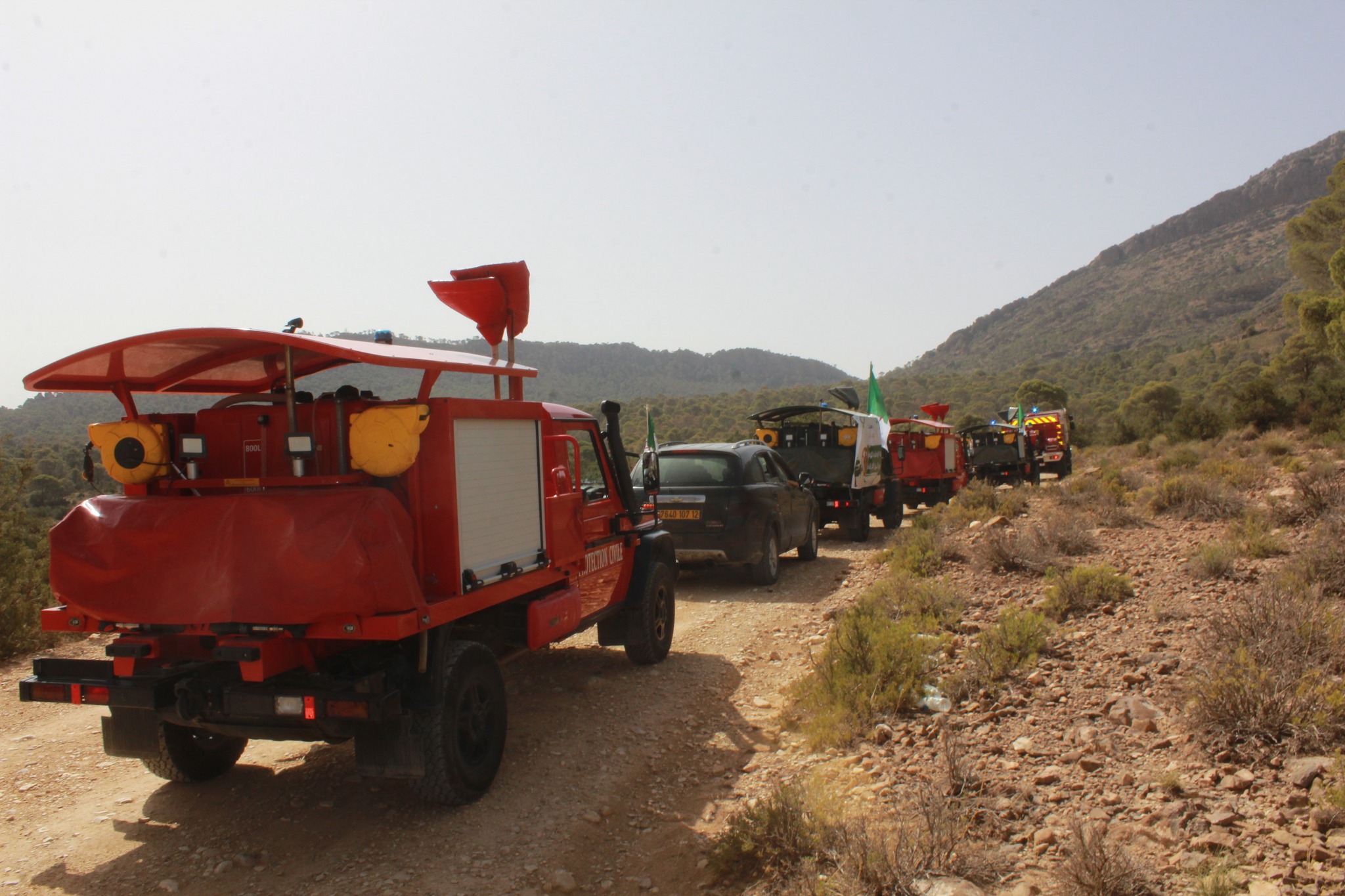 Lutte contre les feux de forêt / Lancement d’une Campagne nationale de prévention contre les feux de forêt