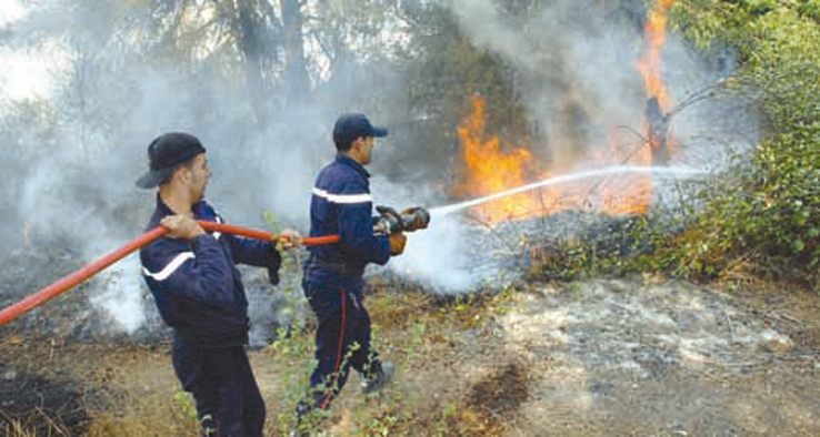 CONSTANTINE / Campagne de sensibilisation autour des incendies de forêt.