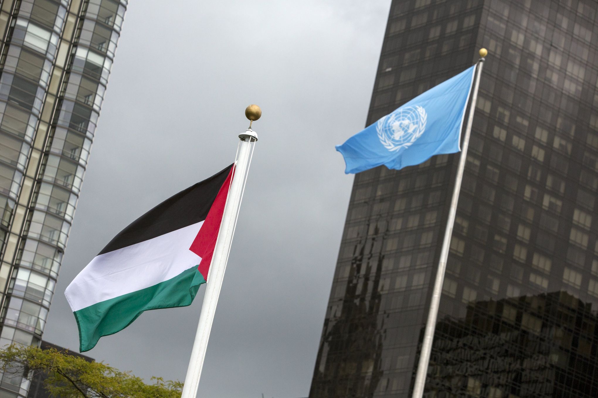 Palestine / L’ONU met en garde contre l’exacerbation des besoins en Cisjordanie