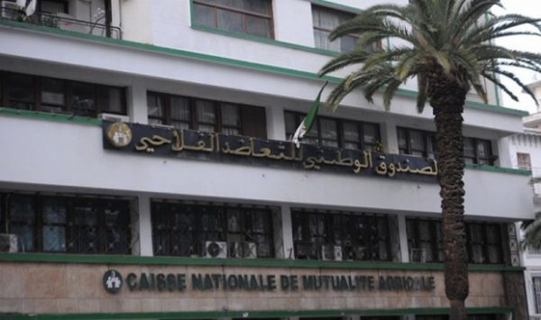 Assurance agricole / Avec un chiffre d’affaires de 13,06 milliards de DA, la CNMA réalise 3% de croissance en 2022