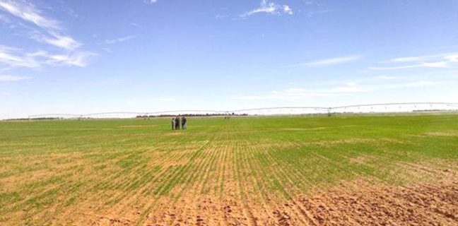 Pour la réalisation d’équipements publics / Le gouvernement examine le déclassement de terres agricoles