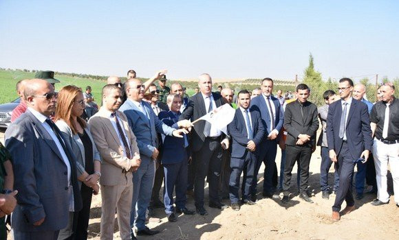 Pour mettre en œuvre la politique nationale agricole et rurale/ Henni met l’accent sur la recherche, la formation et la vulgarisation en tant qu’approche stratégique