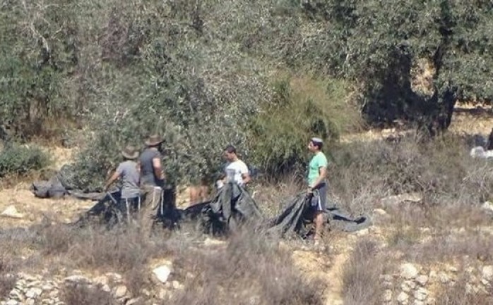 Palestine occupée / Des gangs de colons sionistes attaquent des agriculteurs à Naplouse