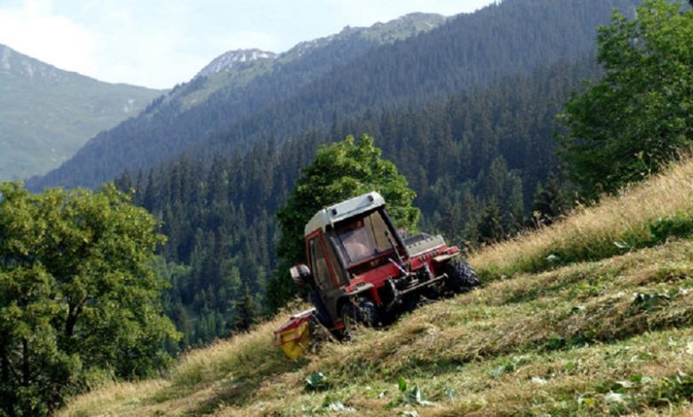 Blida / L’agriculture de montagne de plus en plus appréciée