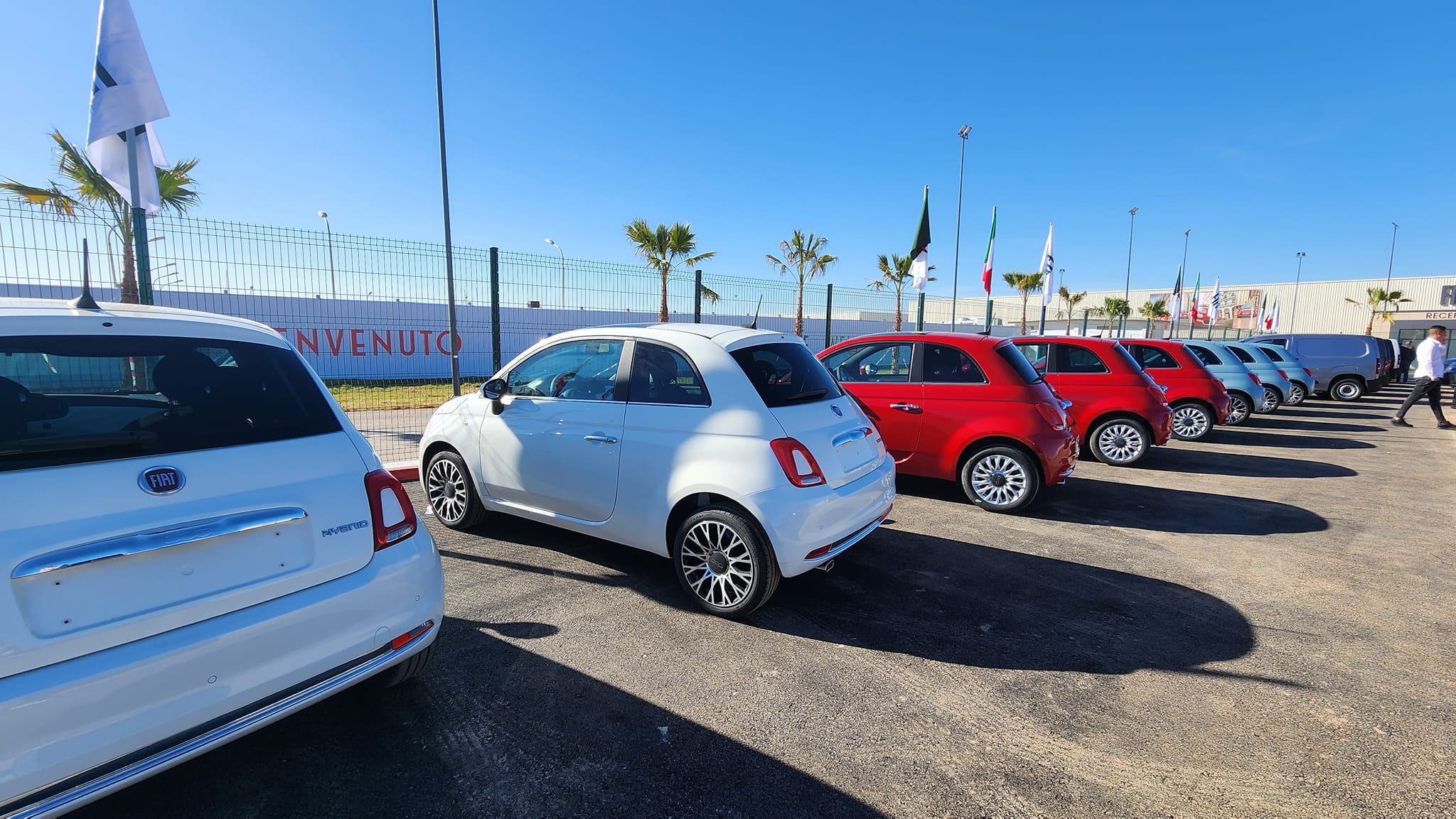Usine Fiat Algérie / Le Fonds national d’investissement entre au capital 