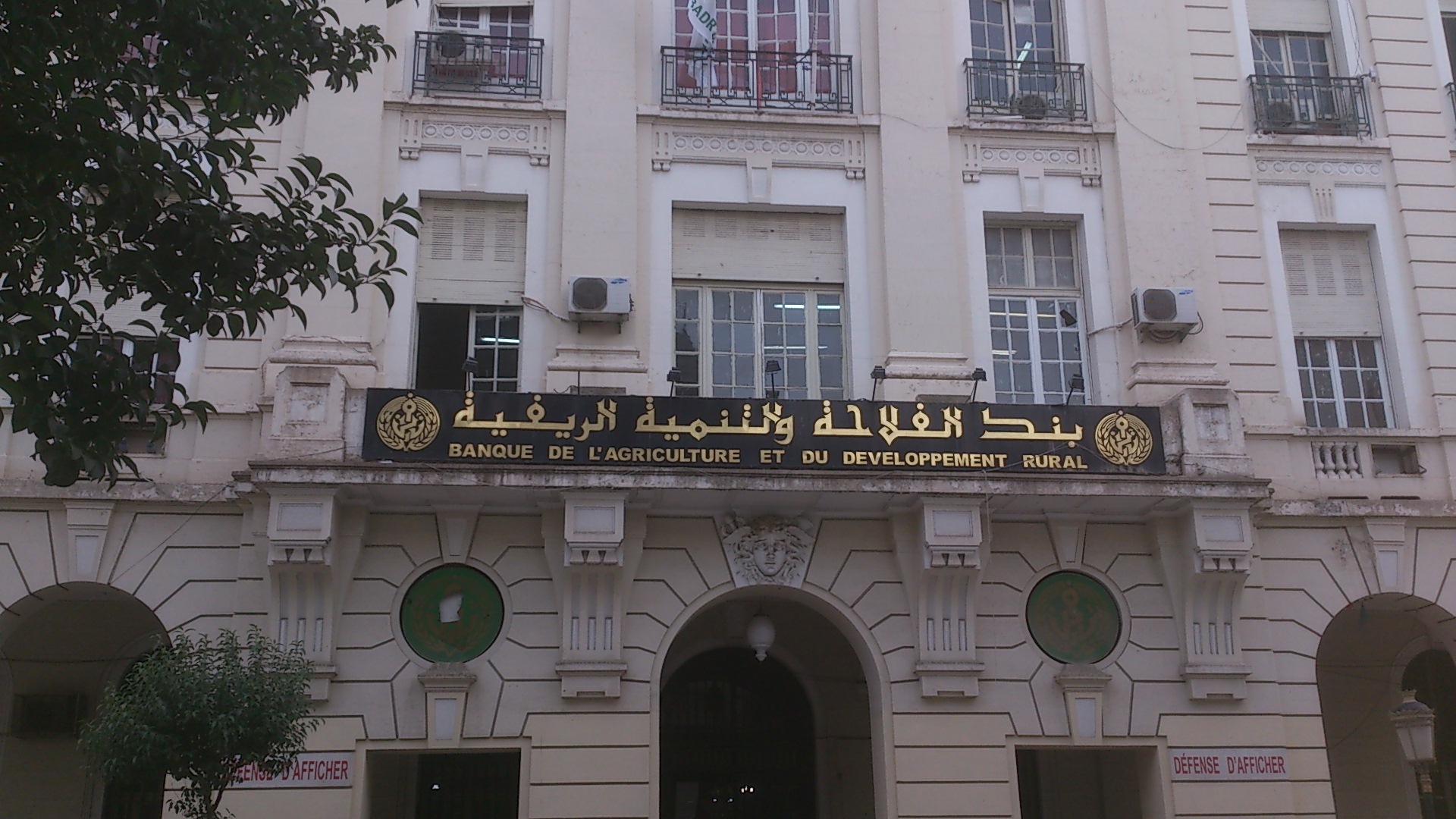 Grâce au crédit R’fig accordé par la BADR / Plus de 199.000 agriculteurs ont obtenu des financements au titre de la campagne agricole 2023/2024