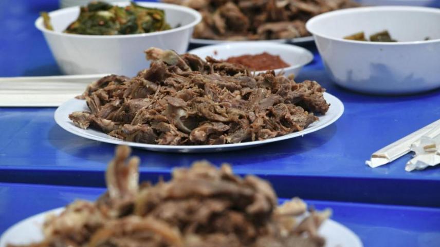 Grand jour en Corée du Sud / La viande de chien interdite depuis hier
