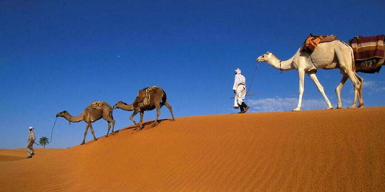 Tourisme saharien / L’incroyable diversité de Biskra
