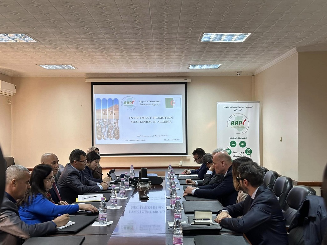 Agriculture / Une société italienne prête à réaliser de grands investissements dans le Sud