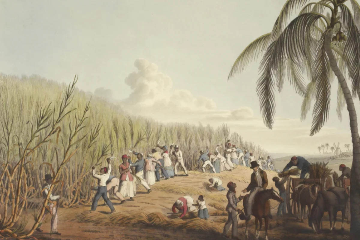 Ségrégation raciale / Scruter les origines de l’esclavagisme pour mieux combattre un fléau toujours d’actualité