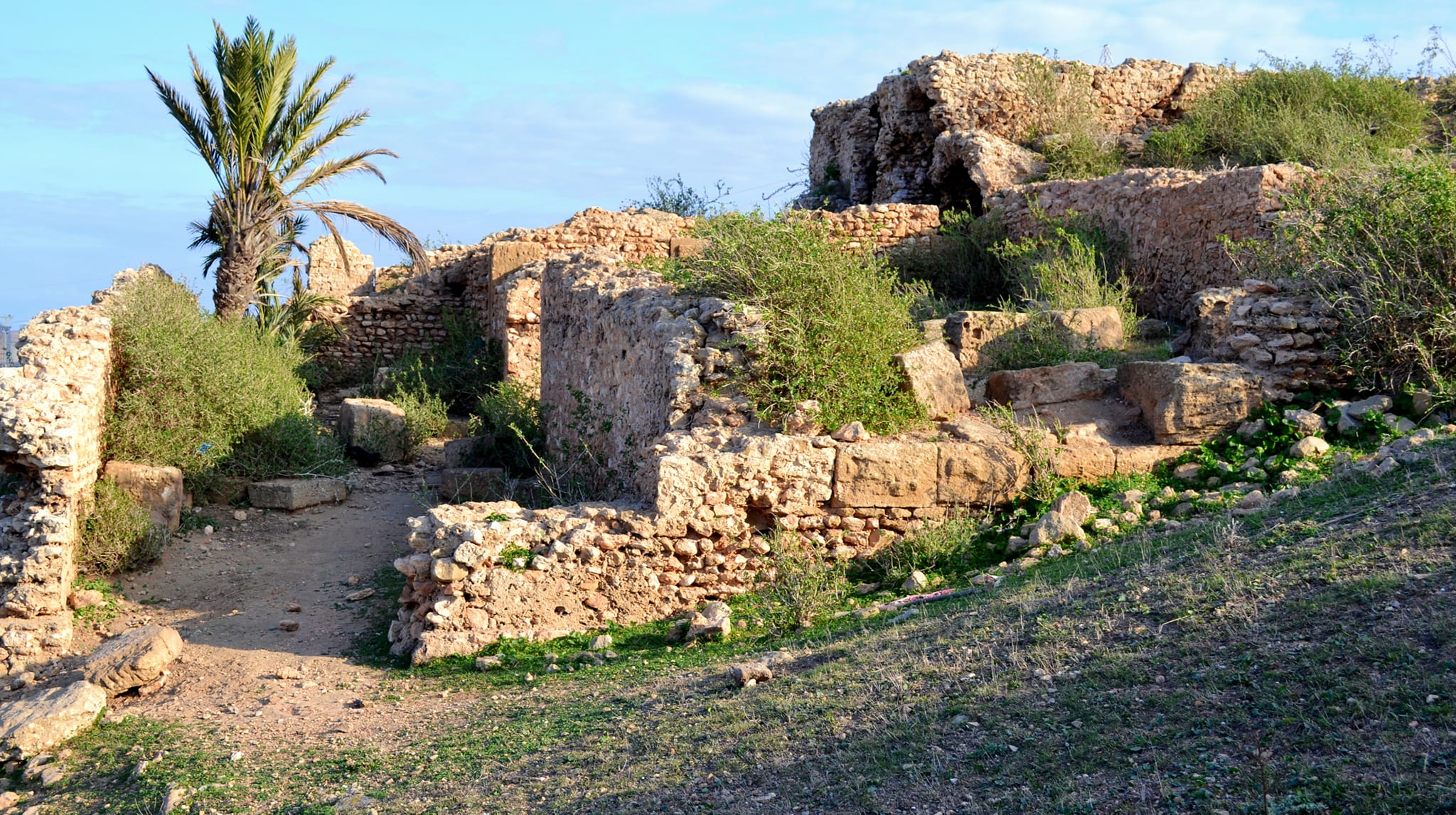 Protection de Portus Magnus / La  clôture du site dissipe les craintes des défenseurs du patrimoine