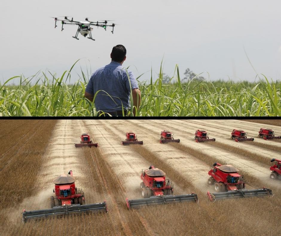 Recensement général de l’agriculture / Une étape cruciale dans la quête de la sécurité alimentaire de l’Algérie