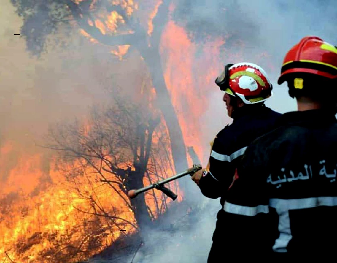 Relizane / On se prépare pour la lutte anti incendies