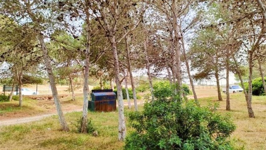 Aïn Temouchent / Les mécanismes législatifs de protection des ressources forestières mis en exergue