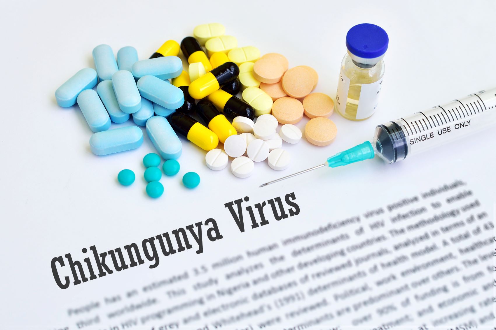 Lutte contre les maladies virales / Un 1er vaccin contre le  Chikungunya
