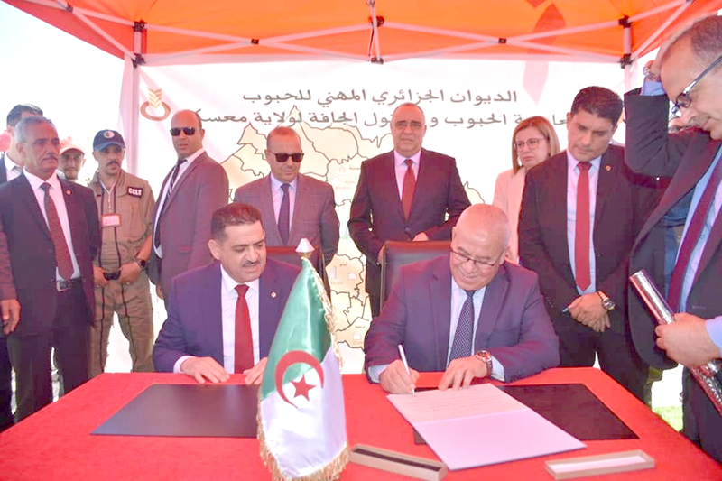 Sécurité alimentaire / Cherfa lance la construction de 30 silos de stockage de céréales à Mascara