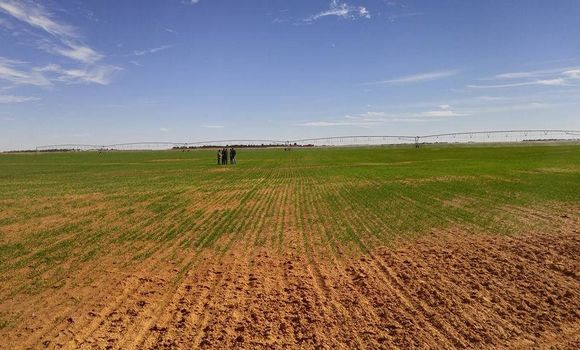 Office national des terres agricoles/Plus de 1,2 million d’hectares de terres à mettre en valeur par la concession