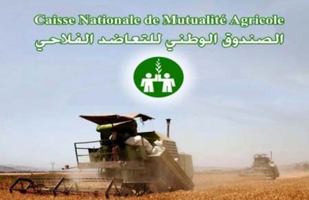 Assurance/La CNMA innove et diversifie ses offres