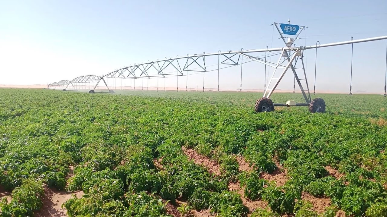 Agriculture / Plan triennal pour atteindre 3 millions d’hectares de surfaces irriguées d’ici 2028