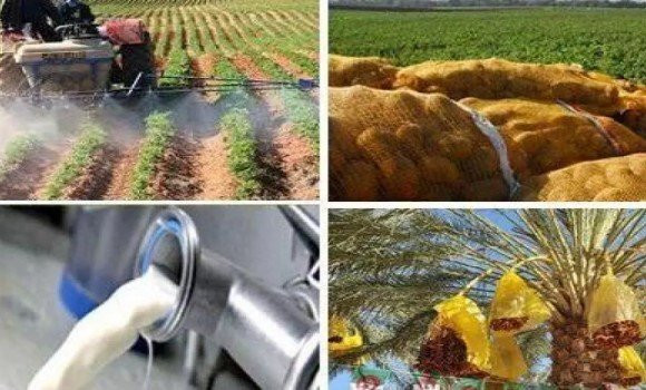 Agriculture / Des experts et professionnels saluent les directives du Président de la République pour une stratégie intégrée dans le secteur