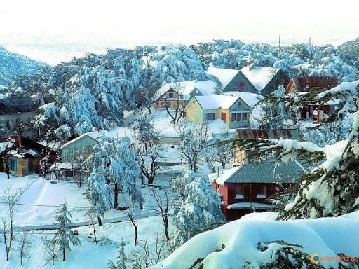 Sétif / Arrivée des premiers flocons de neige
