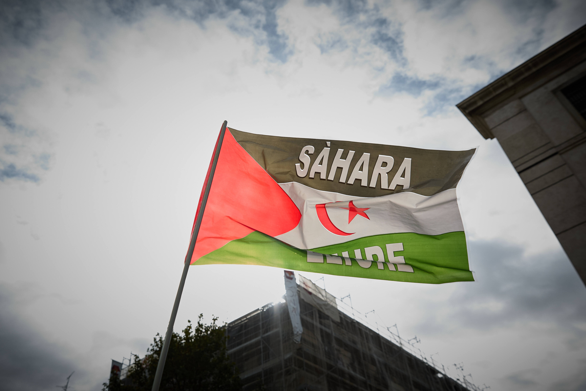 L’appel de L’Afrique du Sud et du Nigeria / Soutenir la cause sahraouie et cessez le feu à Ghaza