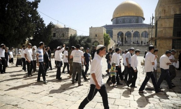 Palestine occupée / Plus de 100 colons sionistes envahissent la Mosquée d’Al-Aqsa