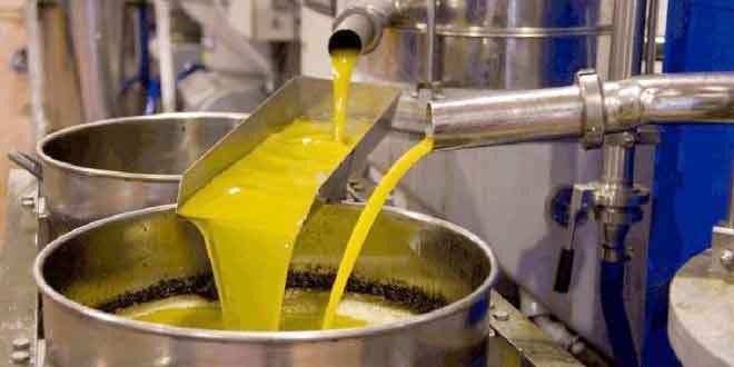 Tizi-Ouzou / Lancement d’une formation en dégustation de l’huile d’olive