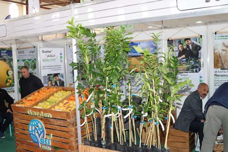 3e Salon de l’Agriculture et de l’Élevage d’ El-Meniaa / Une vitrine pour l’agriculture saharienne